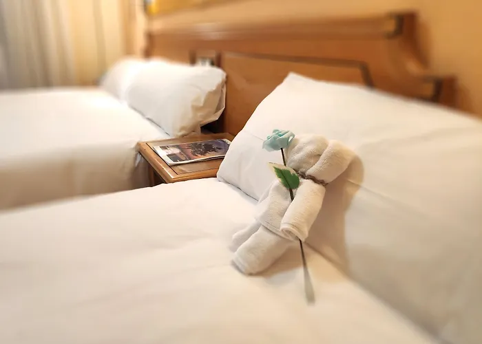 Vtz El Principe Zaragoza